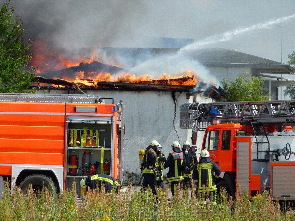 Feuer Koeln Ossendorf Butzweiler Hof neben IKEA P038.jpg